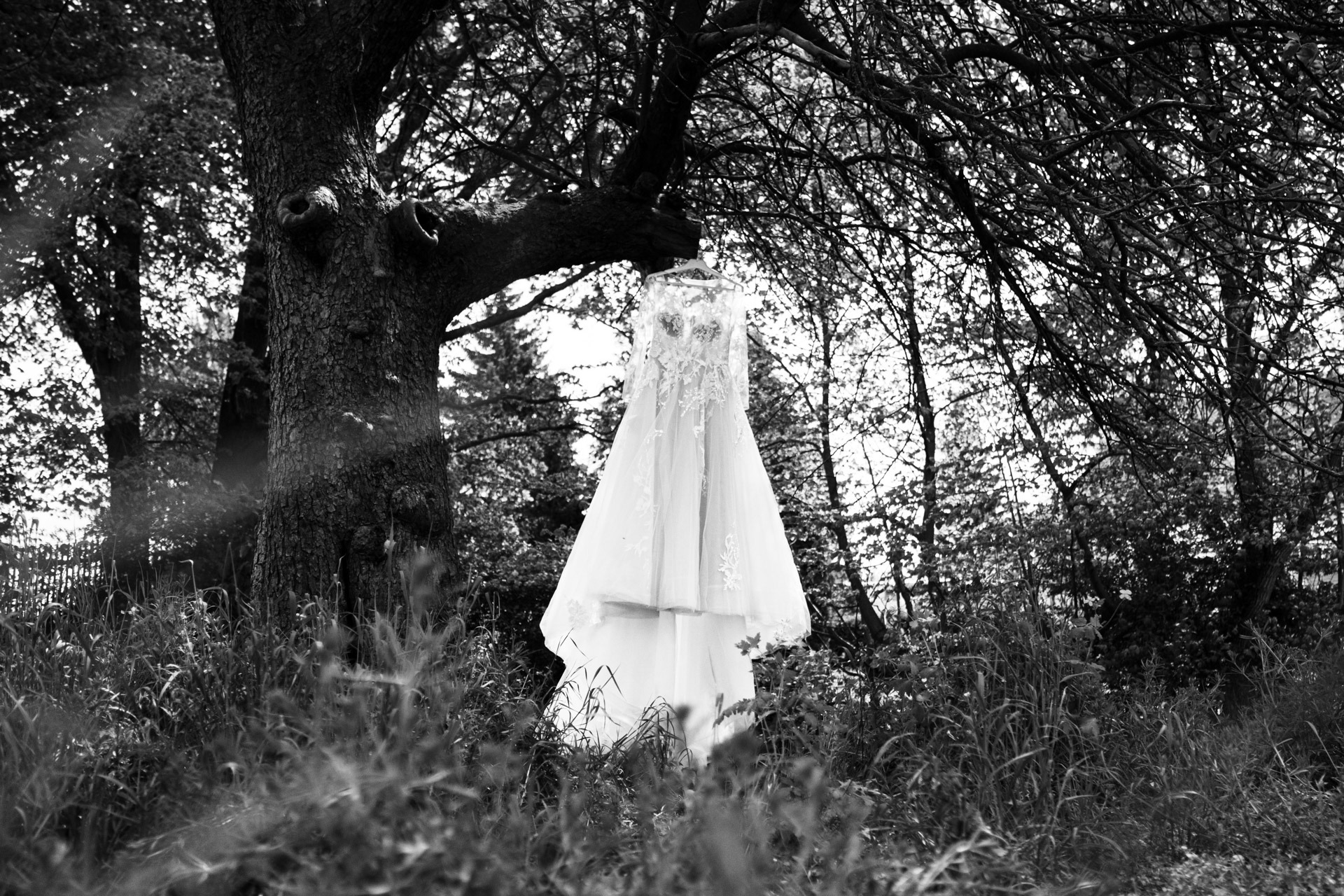 Brautkleid hängt unter einem Baum im Denkmalhof Schlagwitz